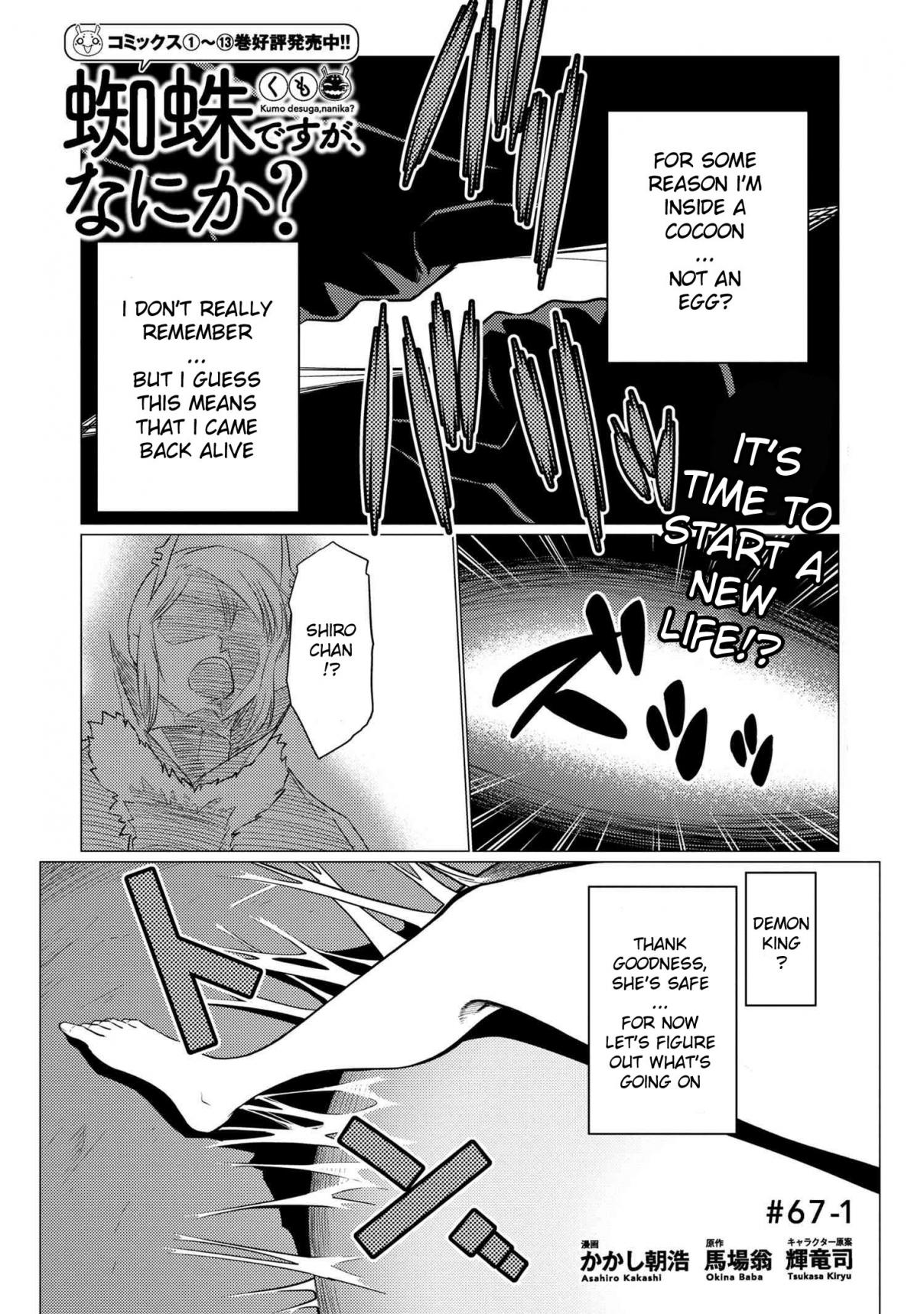 Kumo Desu ga, Nani ka? 67.1