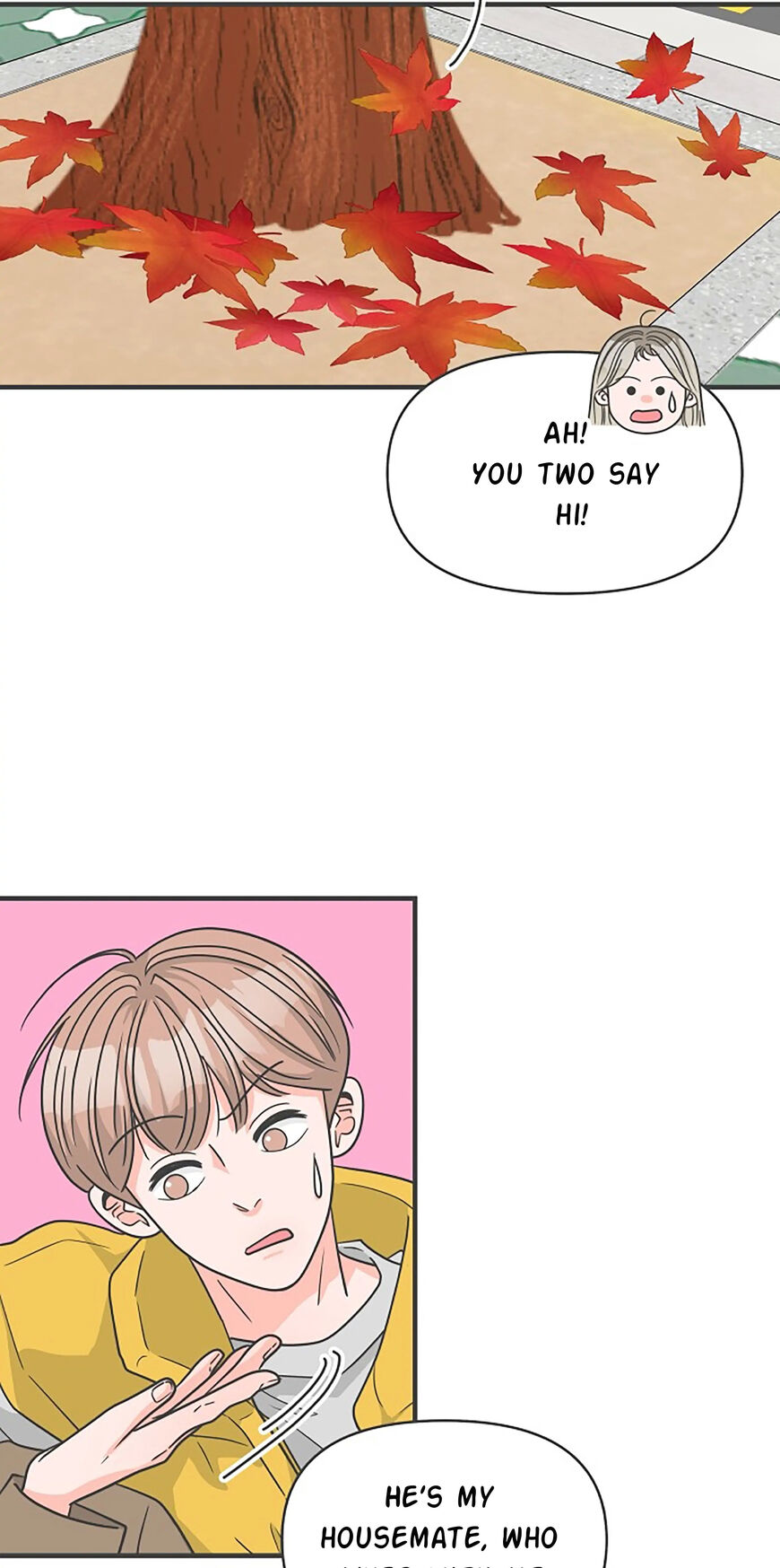 Koi wa Misoji wo Sugite kara 99