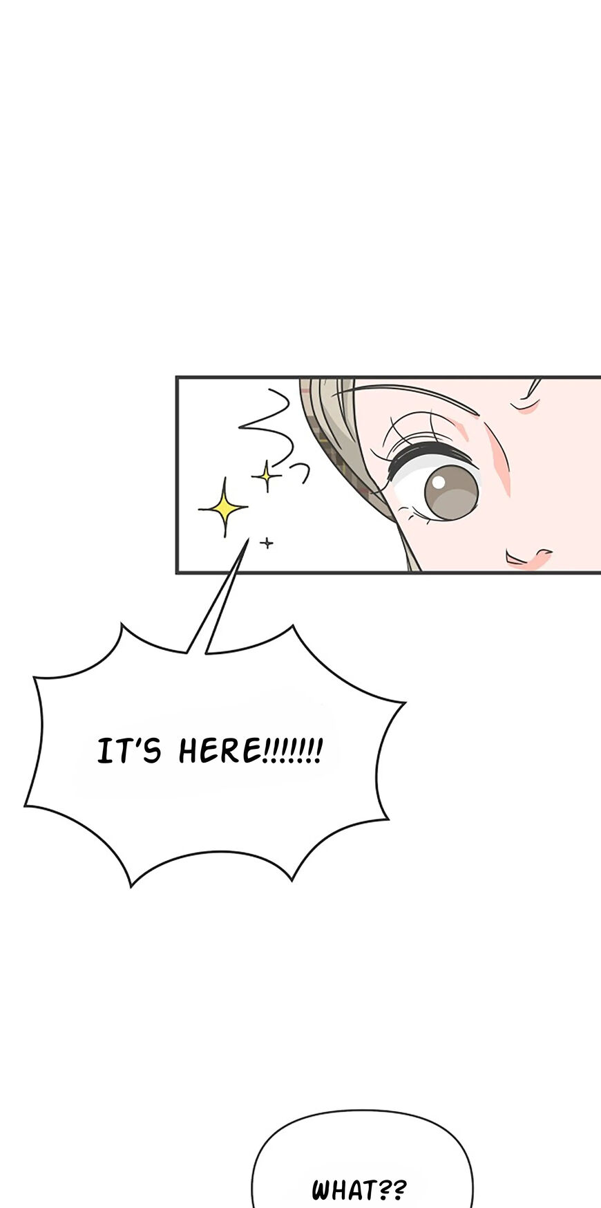 Koi wa Misoji wo Sugite kara 99