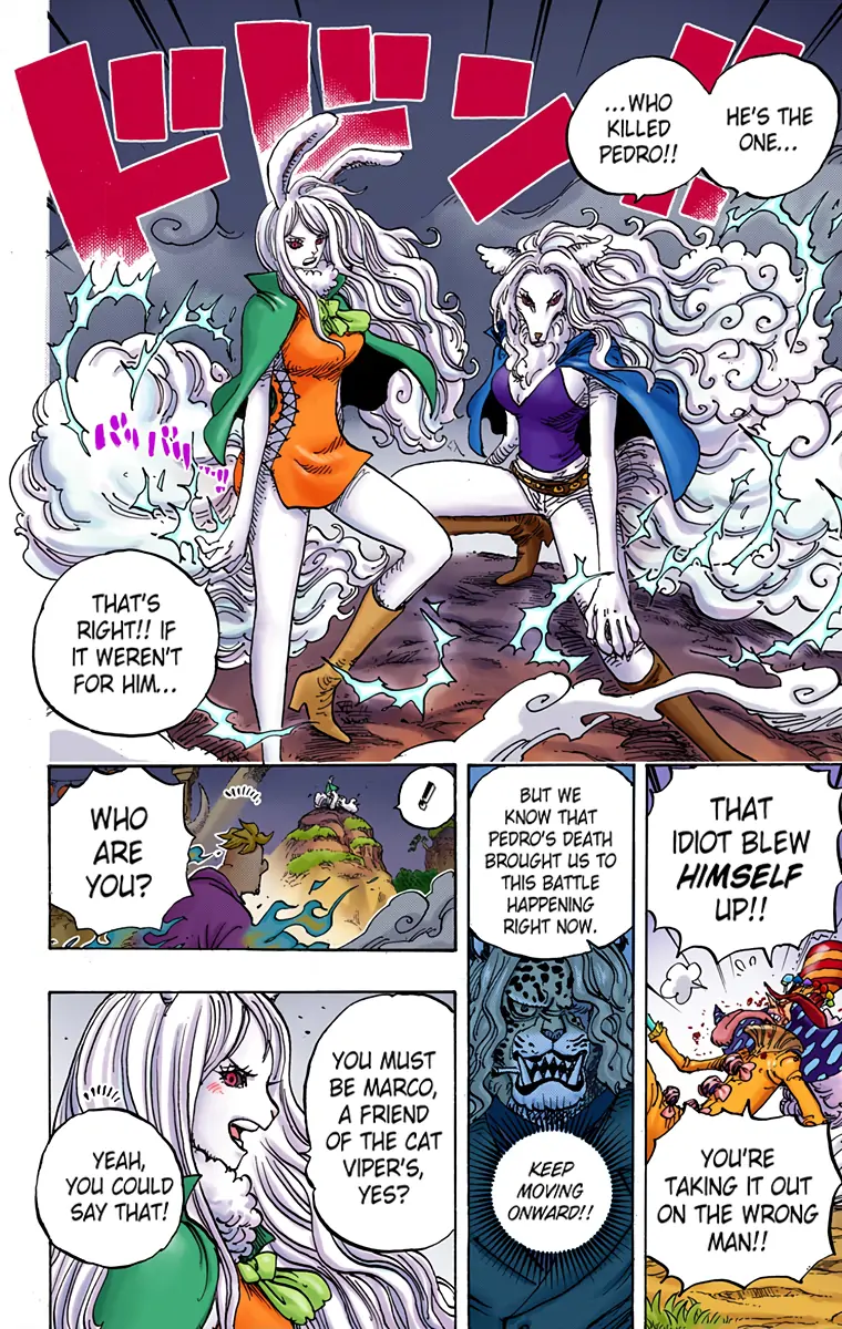One Piece - Digital Colored Comics Chapter 995