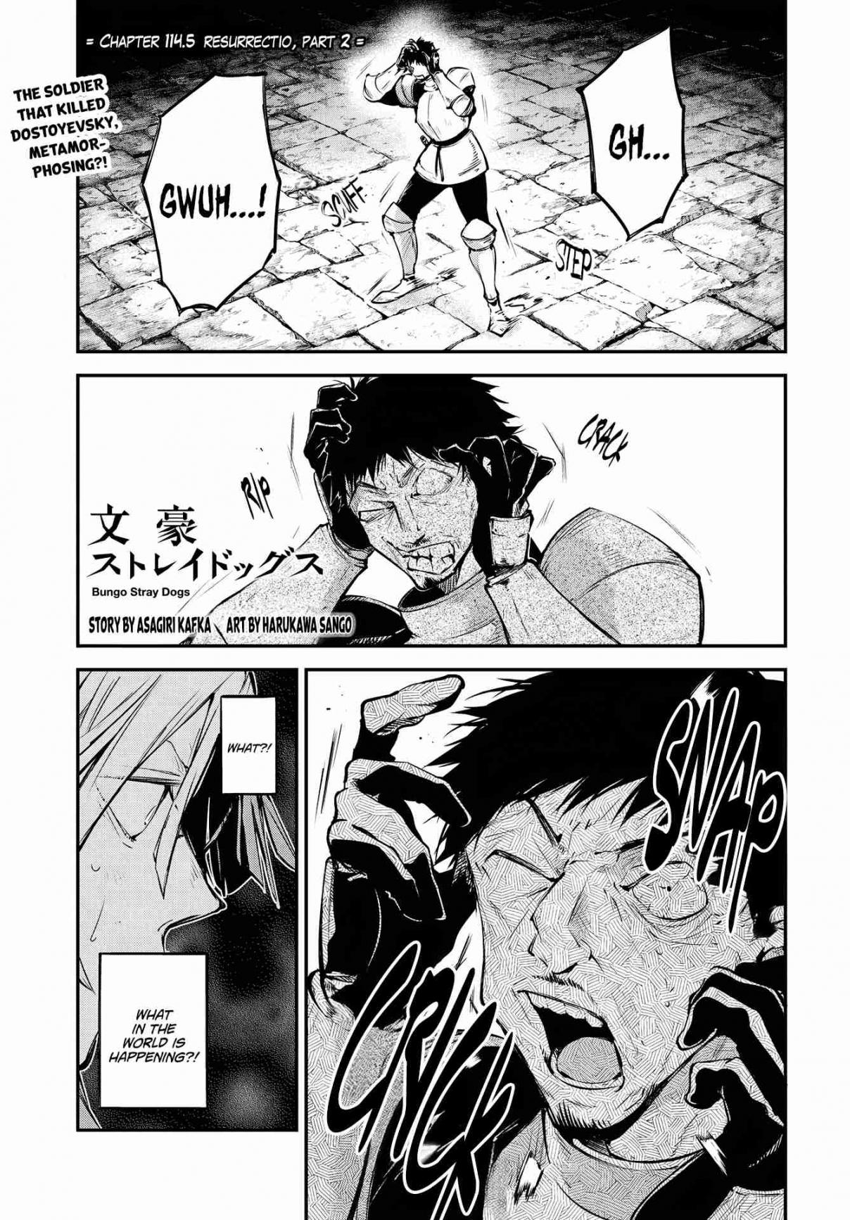Bungou Stray Dogs 114.5