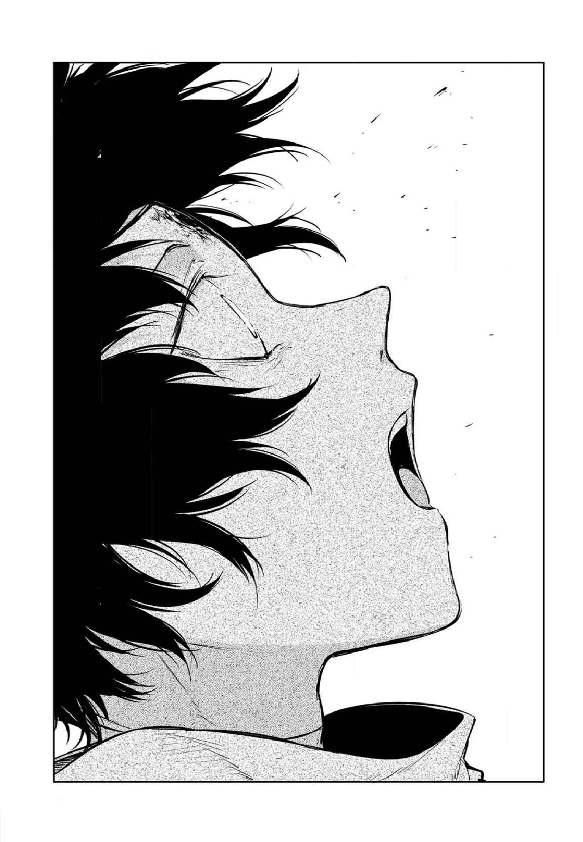 Bungou Stray Dogs 109