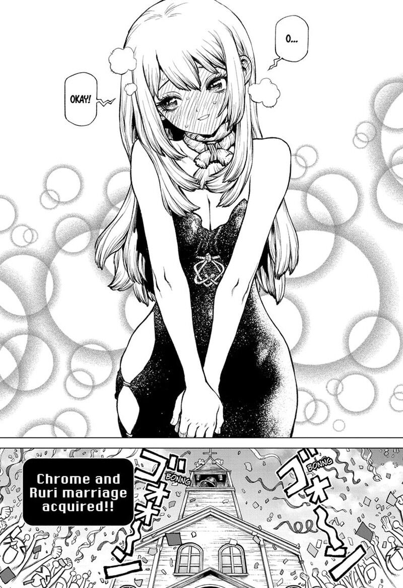 Dr. Stone 232.6