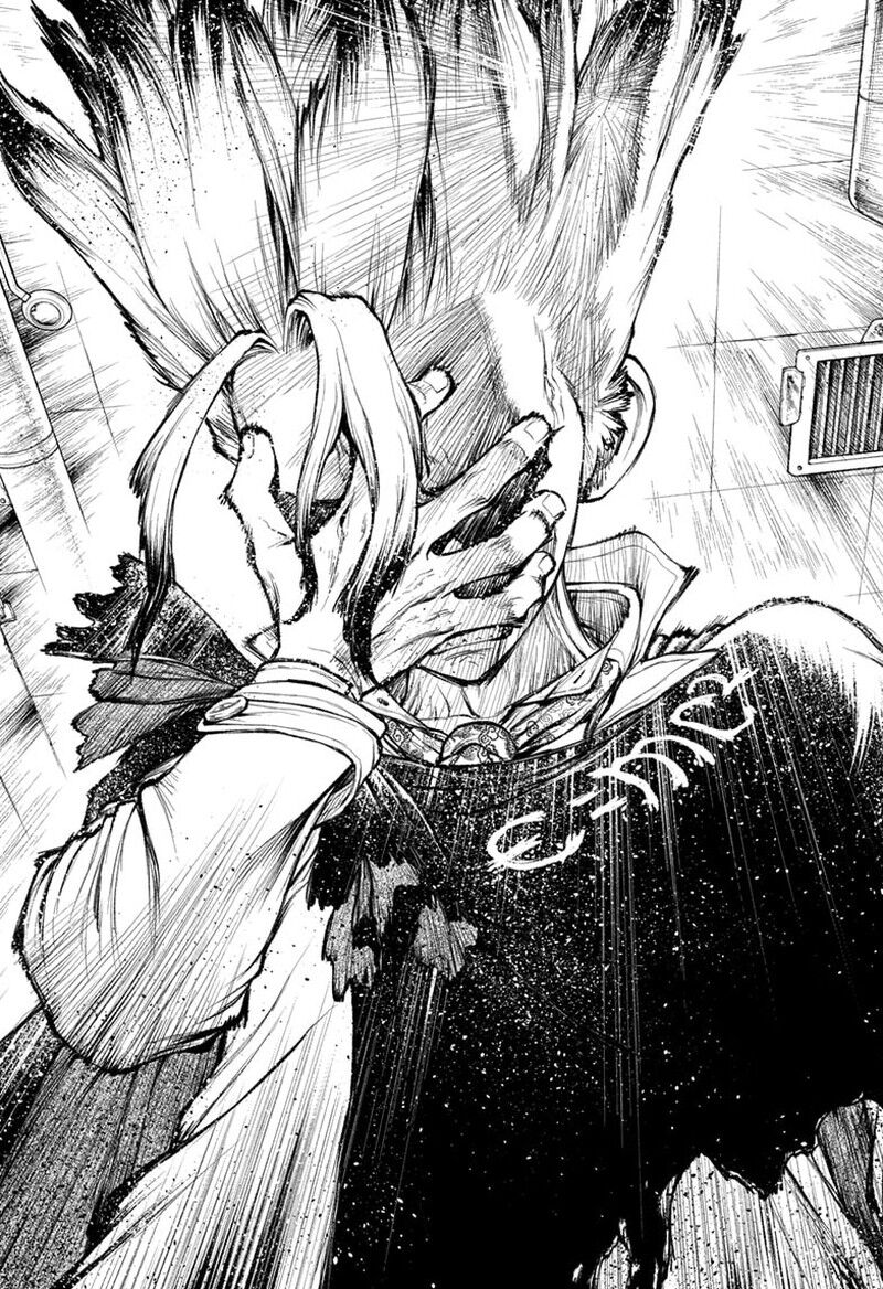 Dr. Stone 232.8