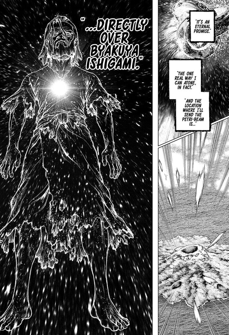 Dr. Stone 232.8