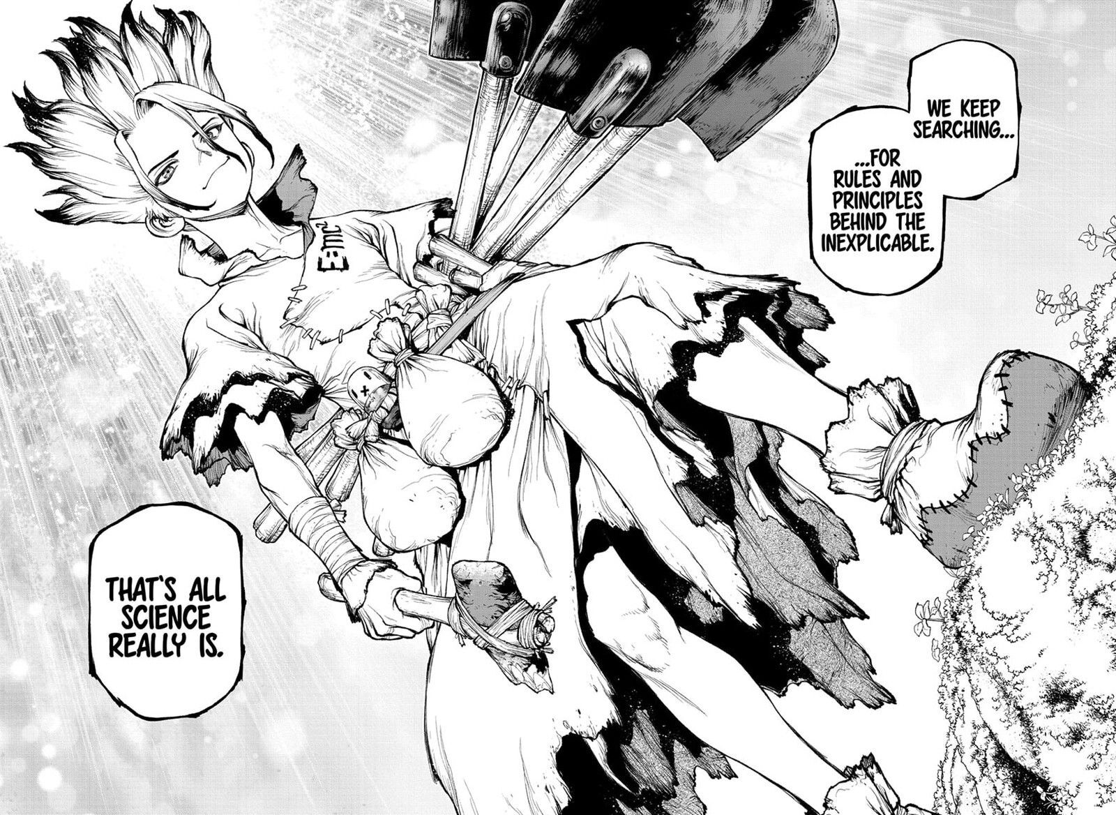 Dr. Stone 232.8