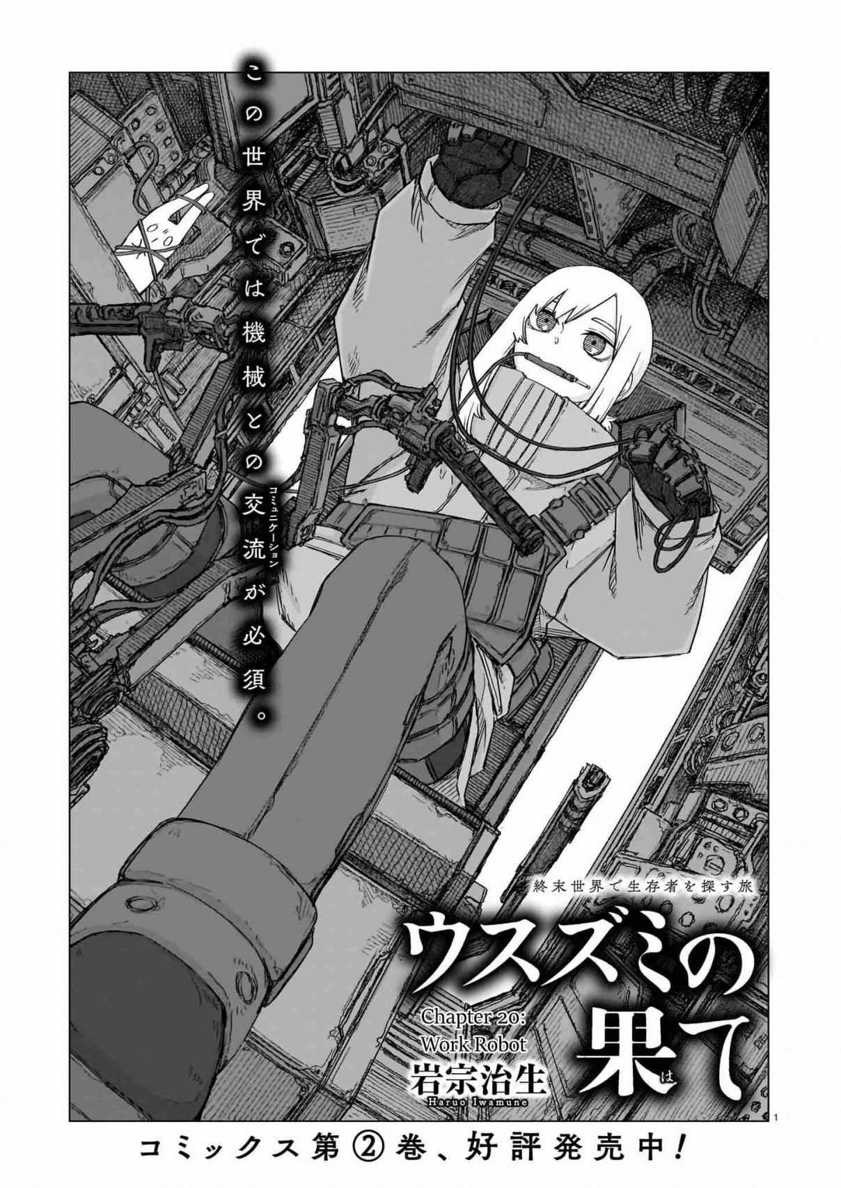The Color of the End Mission in the Apocalypse 20, The Color of the End Mission in the