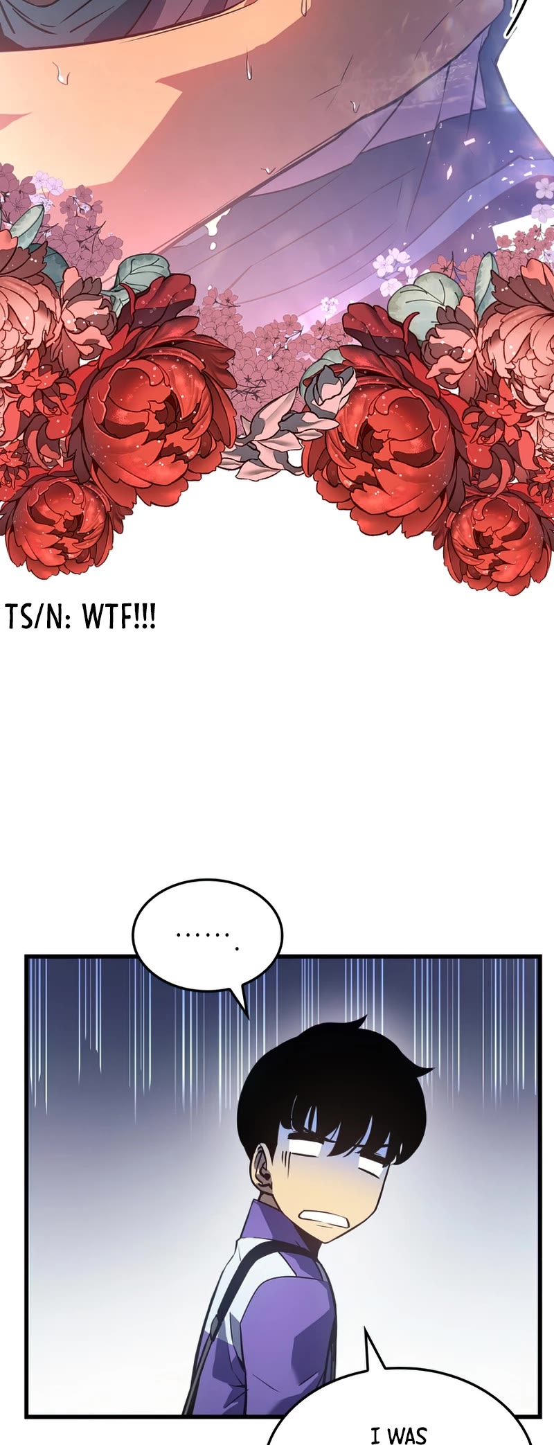 Solo Leveling Chapter 185